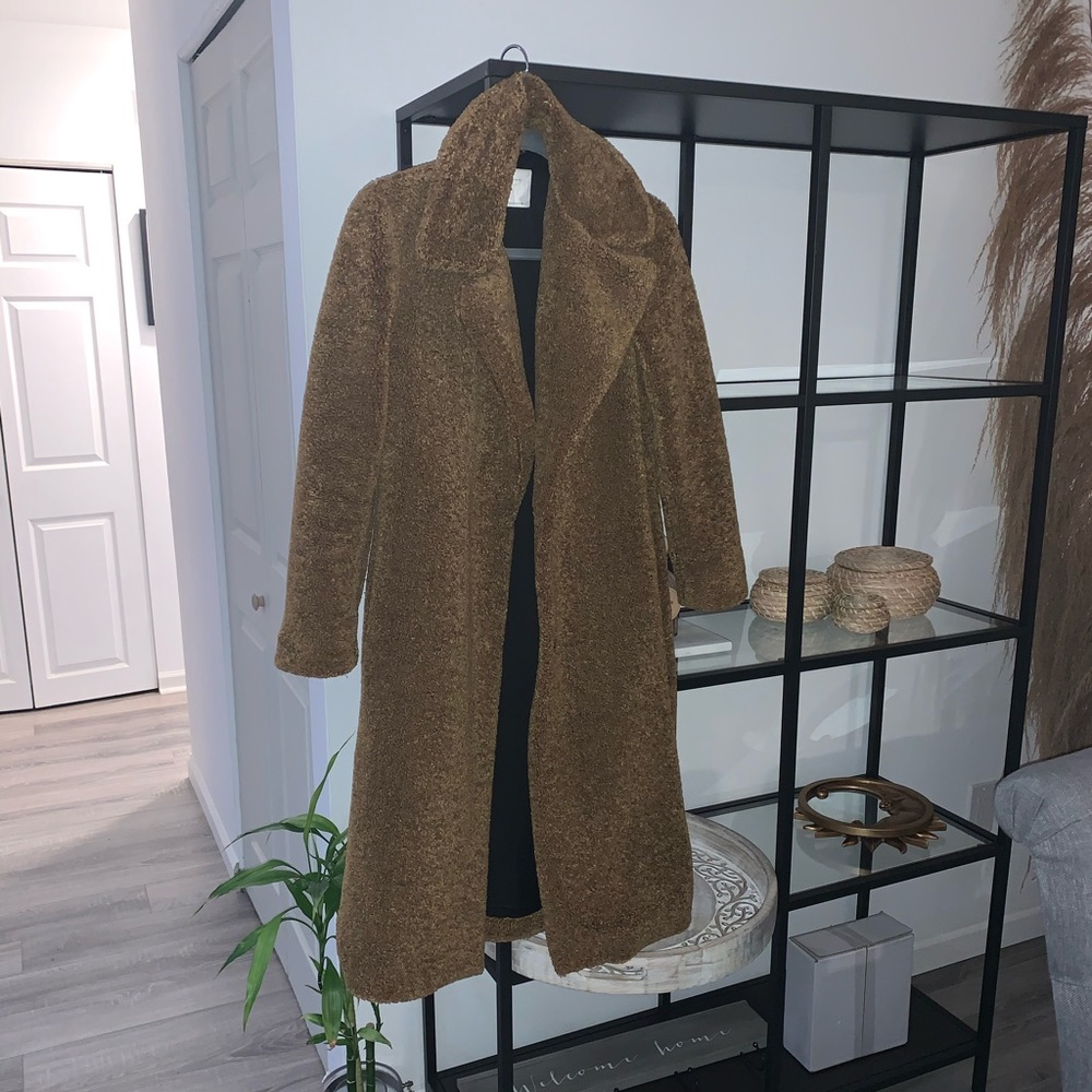 Zara Teddy Coat